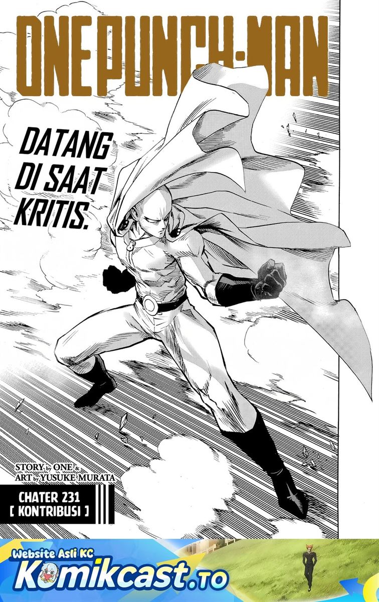 One Punch-Man Chap 305 - Next Chap 306