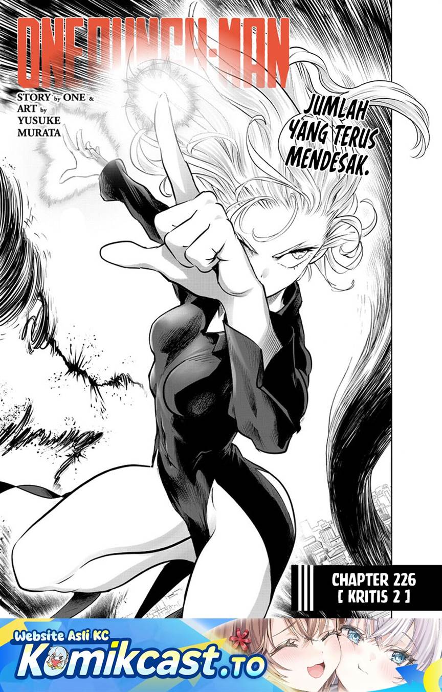 One Punch-Man Chap 300 - Next Chap 301