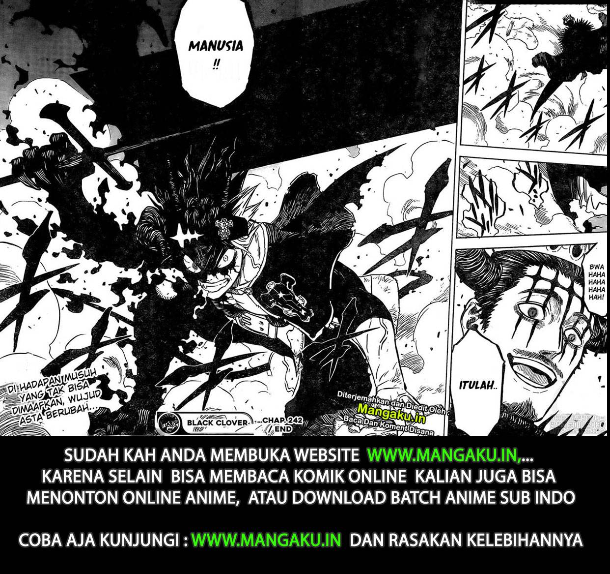 Black Clover Chap 242 - Next Chap 243
