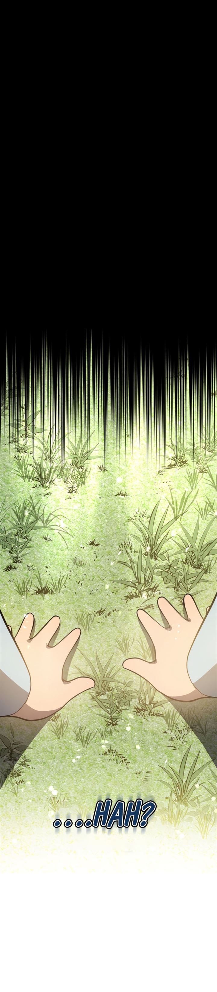 Swordmaster’s Youngest Son Chap 1 - Next Chap 2