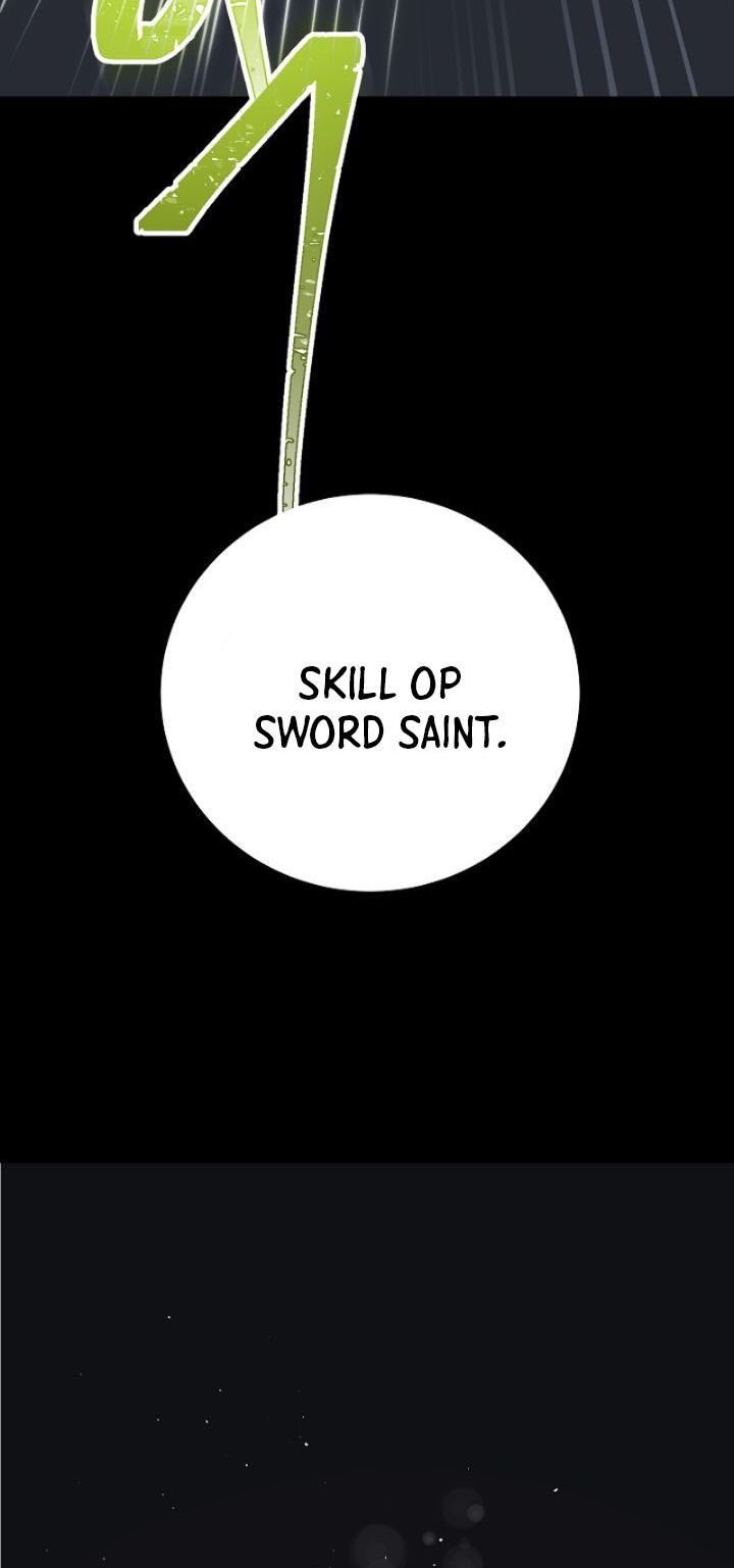 SSS-Class Suicide Hunter Chap 6 - Next Chap 7