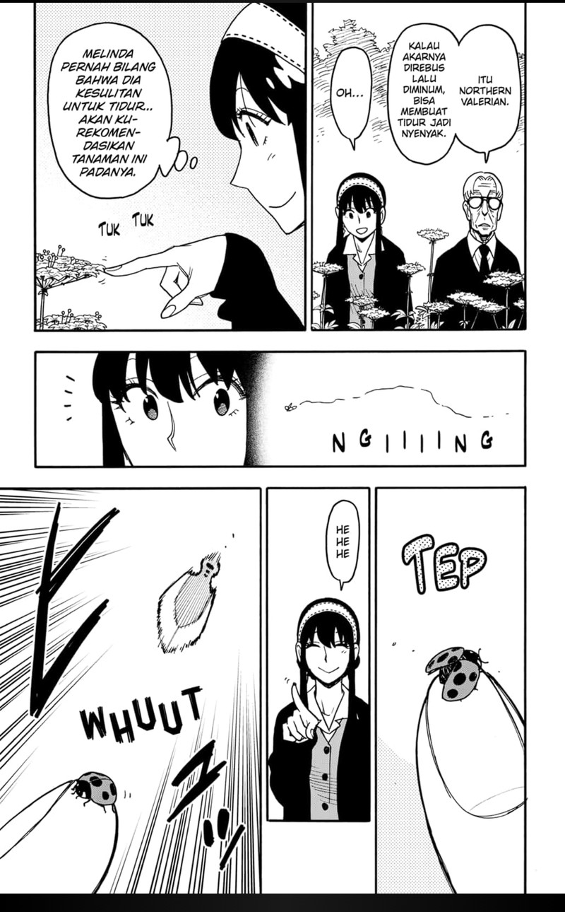 Spy X Family Chap 115 - Next Chap 116