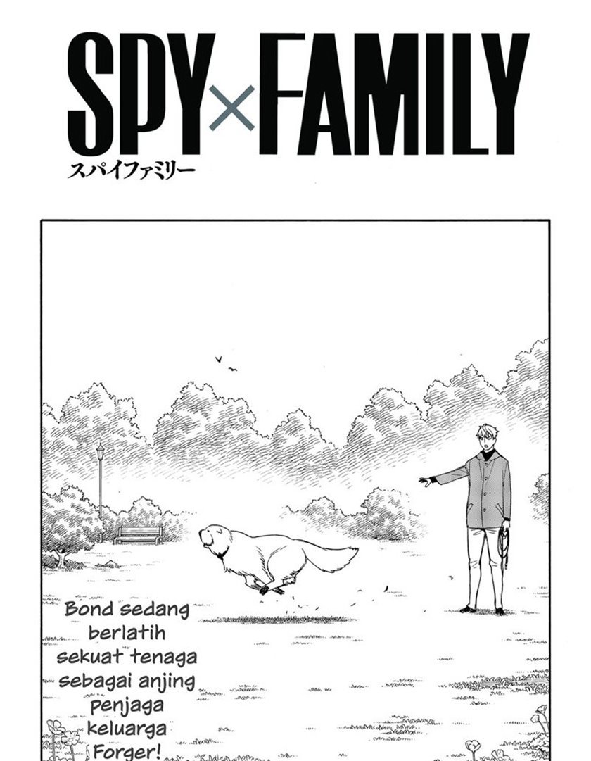 Spy X Family Chap 58 - Next Chap 59