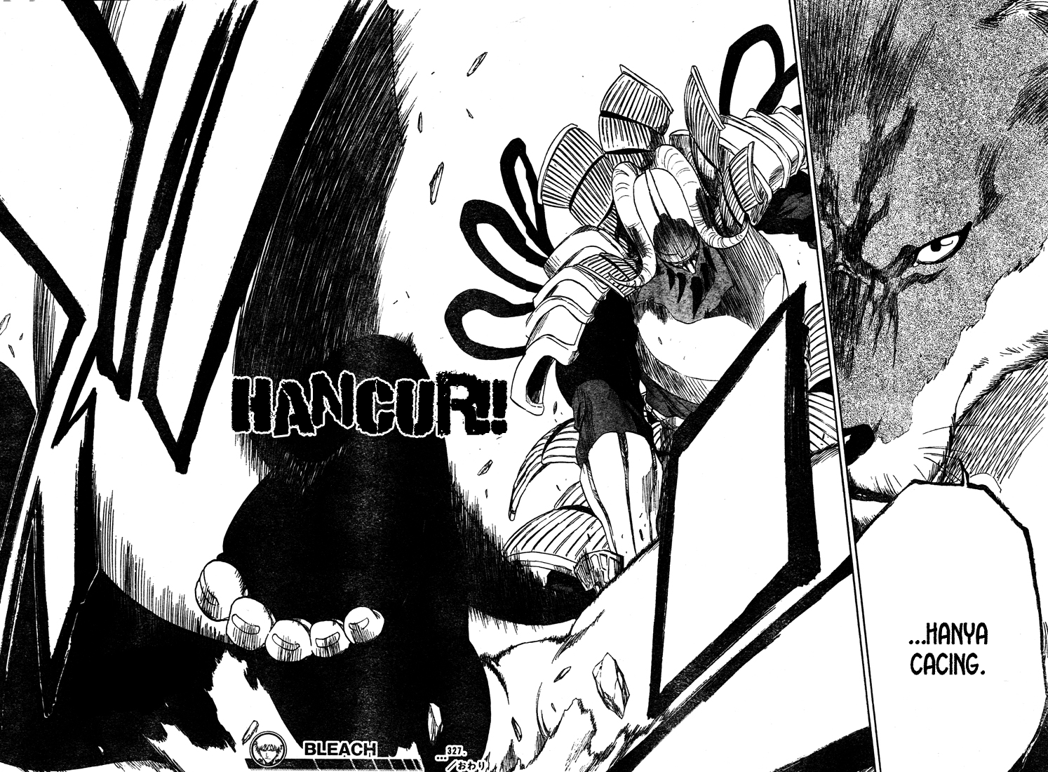 Bleach Chap 327 - Next Chap 328