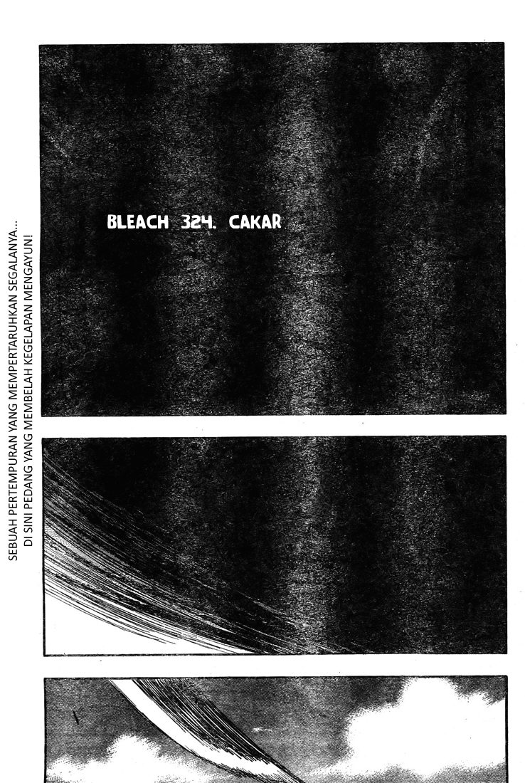 Bleach Chap 324 - Next Chap 325
