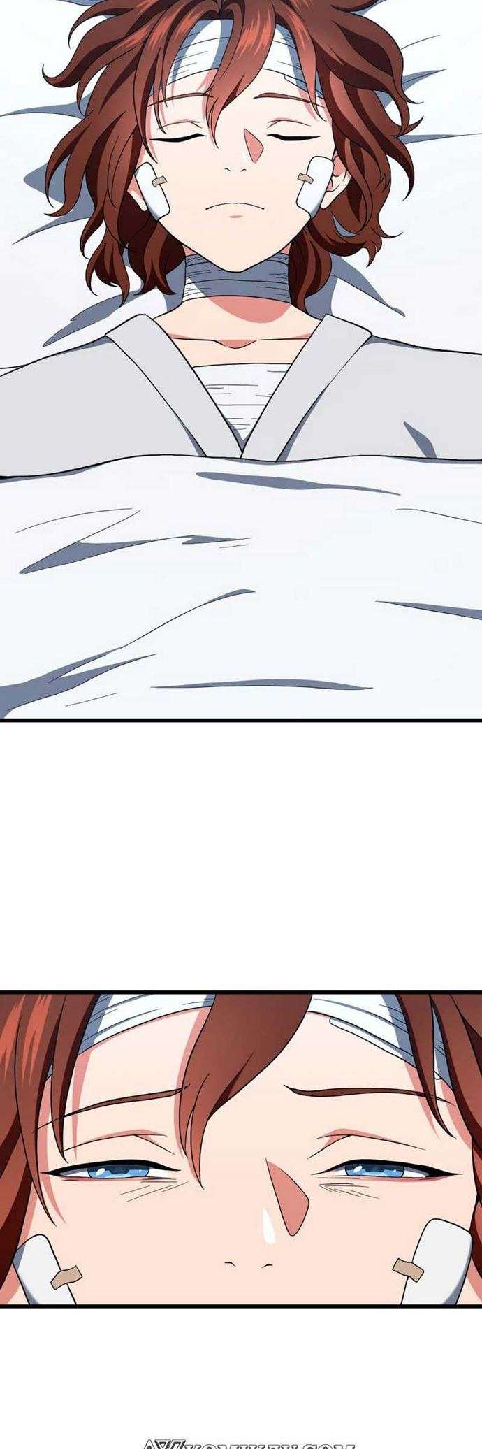 The Beginning After the End Chap 101 - Next Chap 102