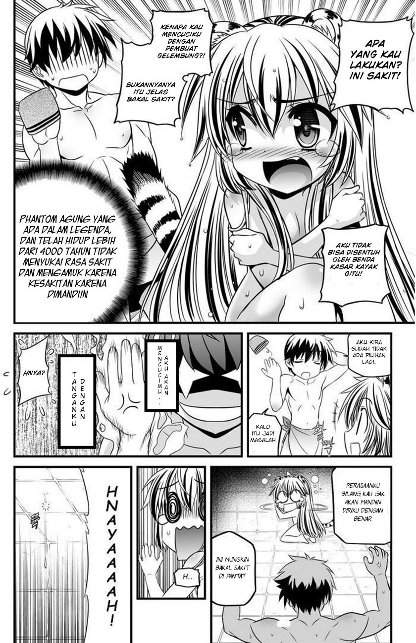 My Love Tiger Chap 7 - Next Chap 8