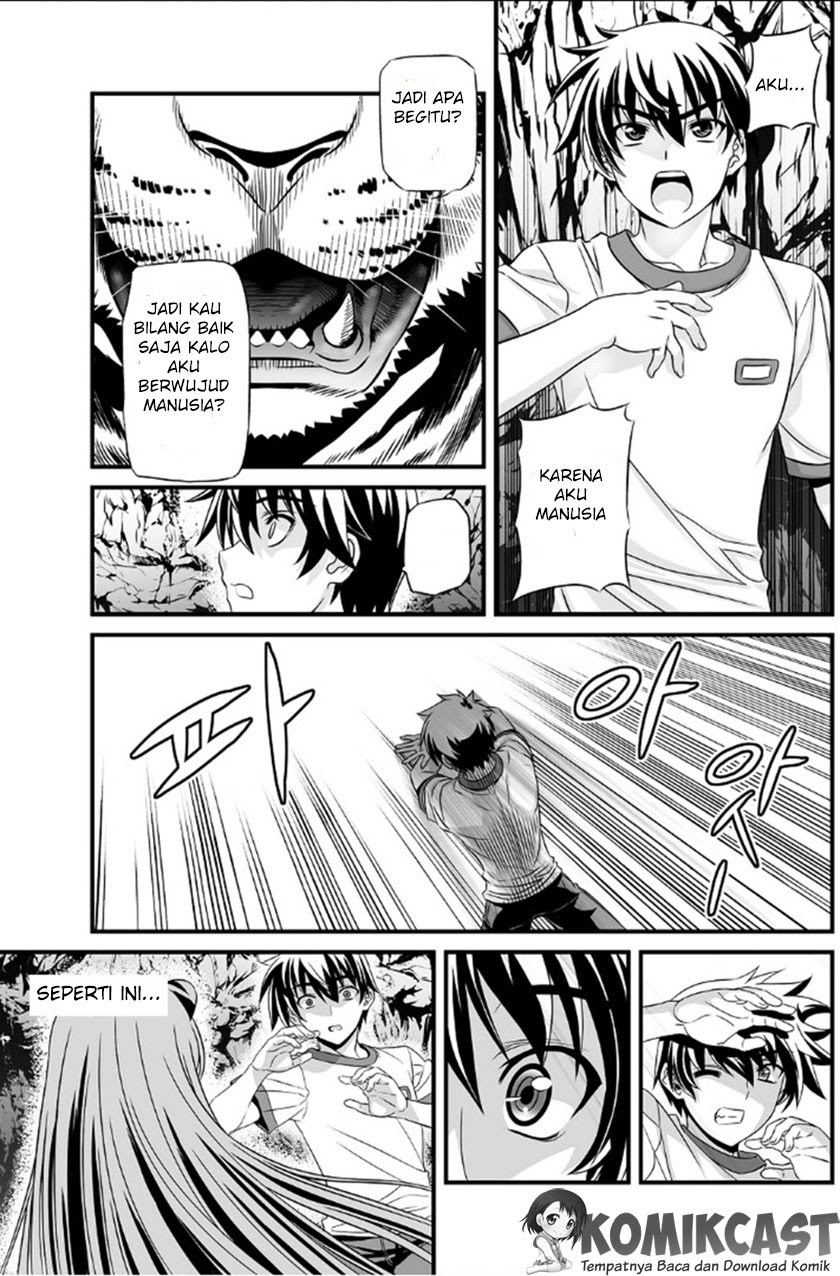 My Love Tiger Chap 1 - Next Chap 2