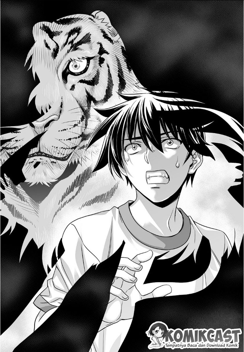 My Love Tiger Chap 1 - Next Chap 2
