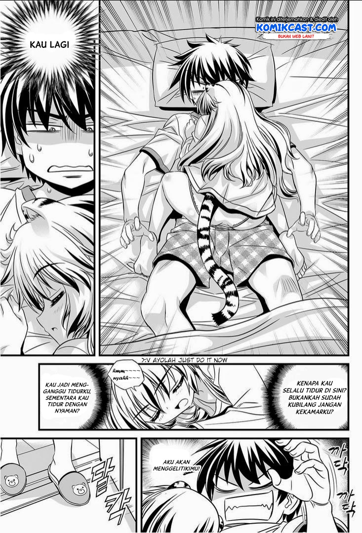 My Love Tiger Chap 14 - Next Chap 15