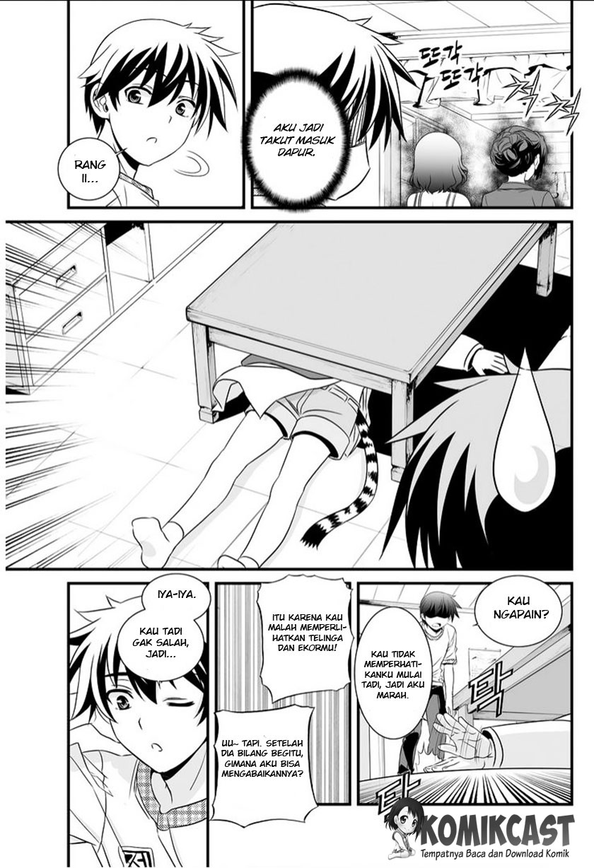 My Love Tiger Chap 11 - Next Chap 12
