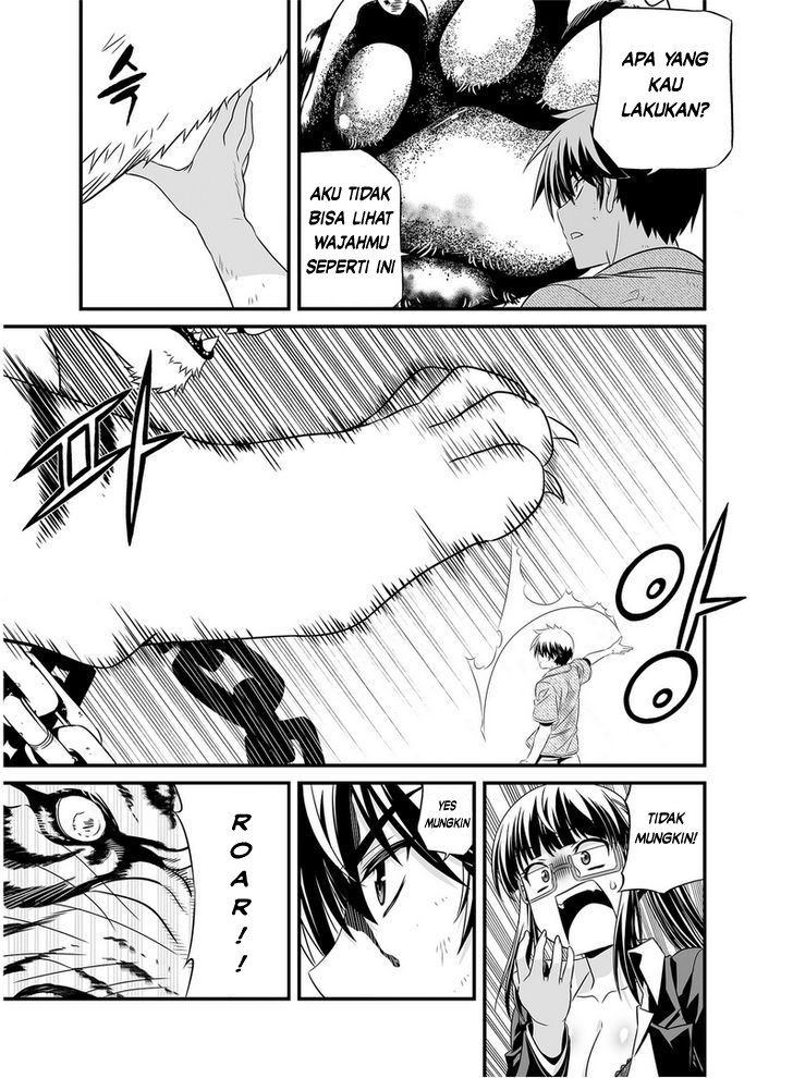 My Love Tiger Chap 26 - Next Chap 27