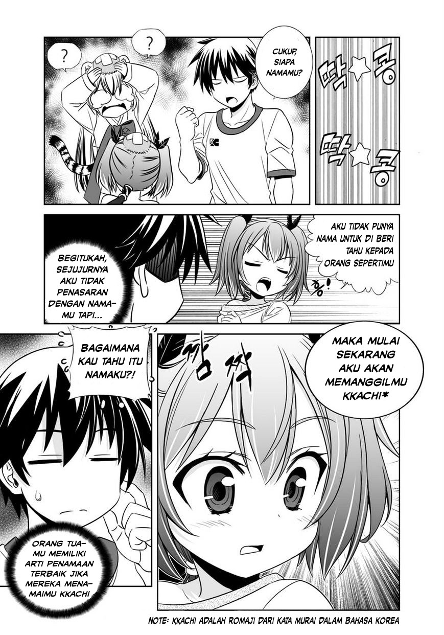 My Love Tiger Chap 34 - Next Chap 35