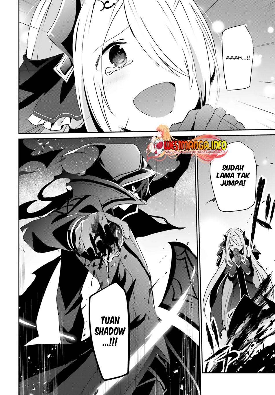 Kage no Jitsuryokusha ni Naritakute Chap 41 - Next Chap 42