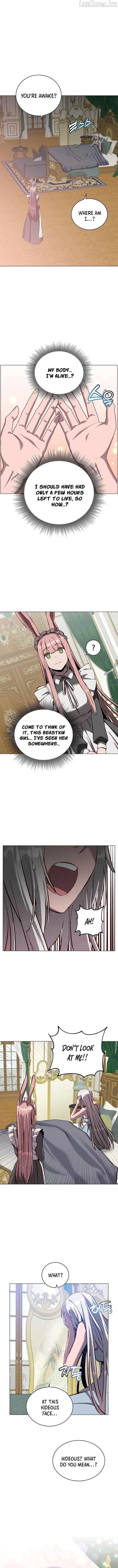 The Max Level Hero Strikes Back Chap 242 - Next Chap 243