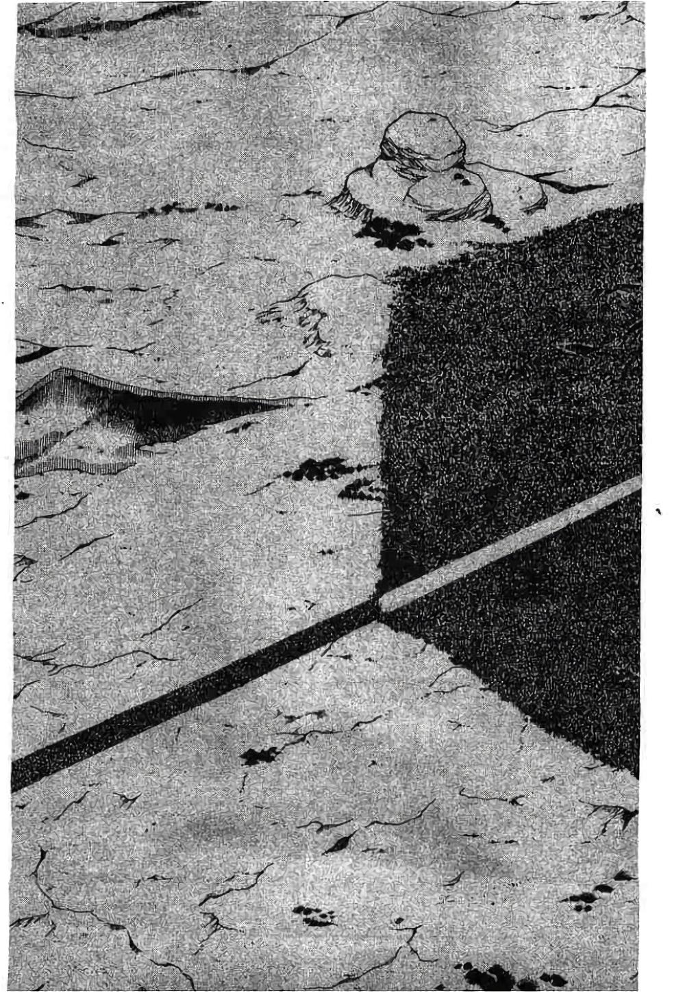 Hunter X Hunter Chap 285 - Next Chap 286