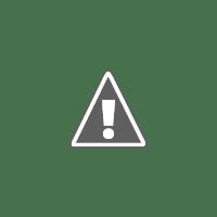 The New Gate Chap 16 - Next Chap 17