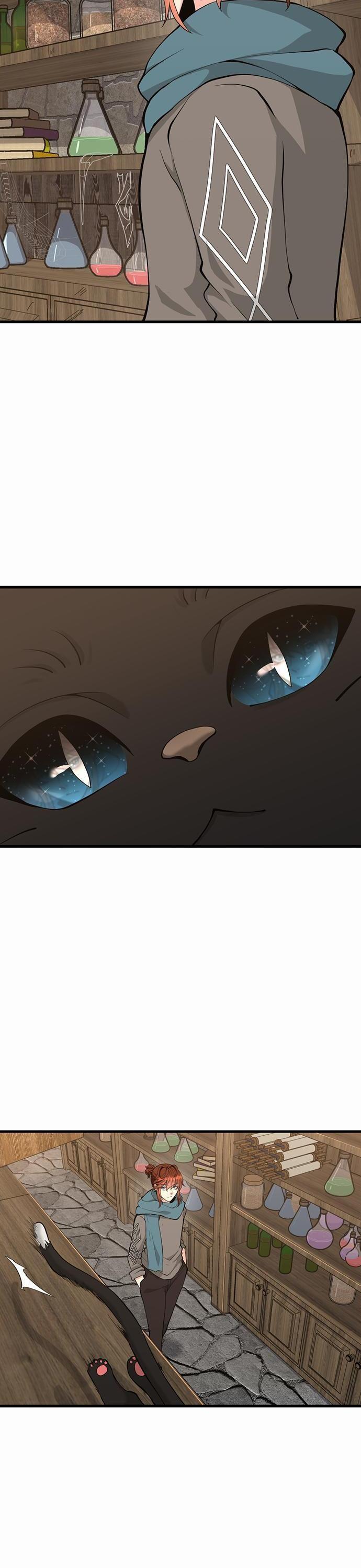 The Beginning After The End Chap 121 - Next Chap 122