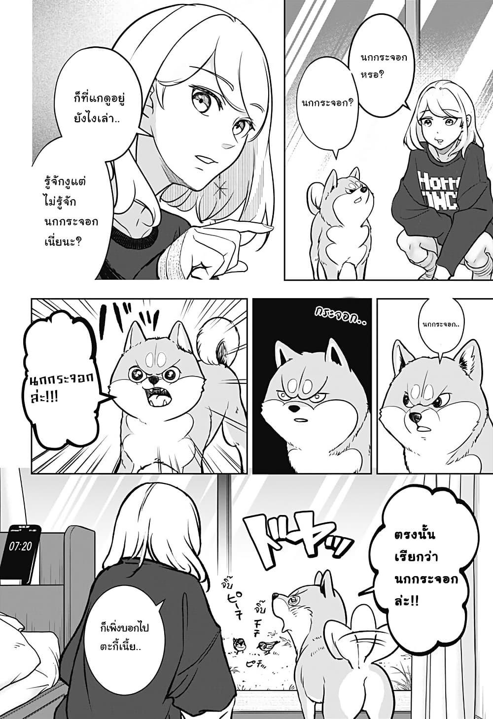 Shiba Inu Rooms Chap 2 - Next Chap 3