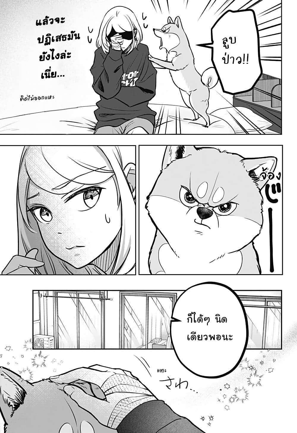 Shiba Inu Rooms Chap 2 - Next Chap 3