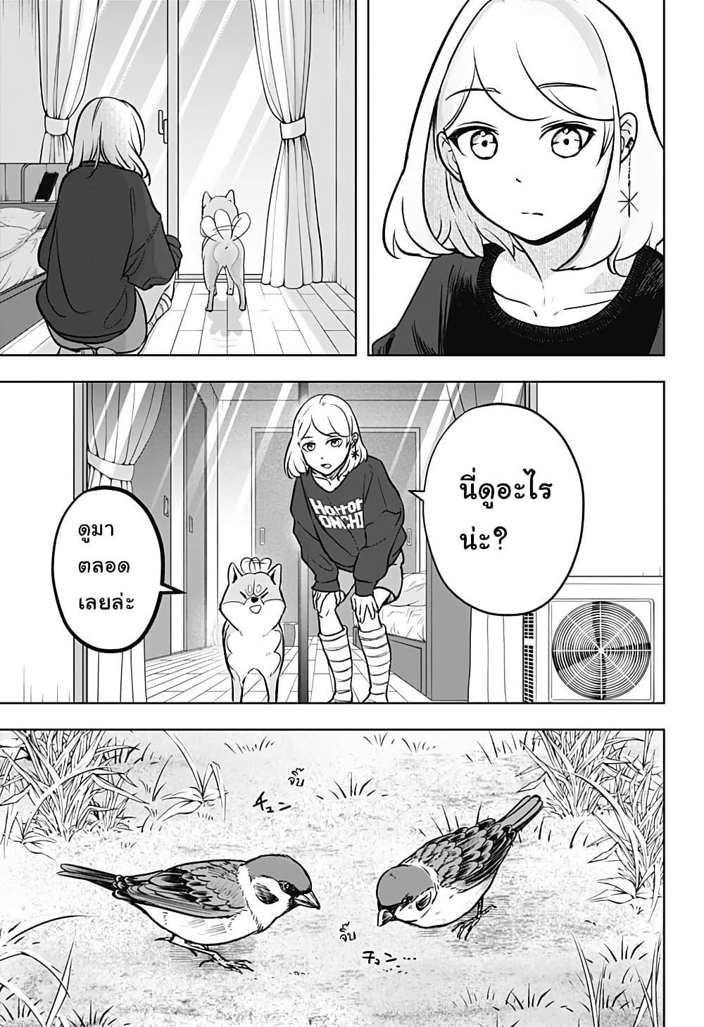 Shiba Inu Rooms Chap 2 - Next Chap 3
