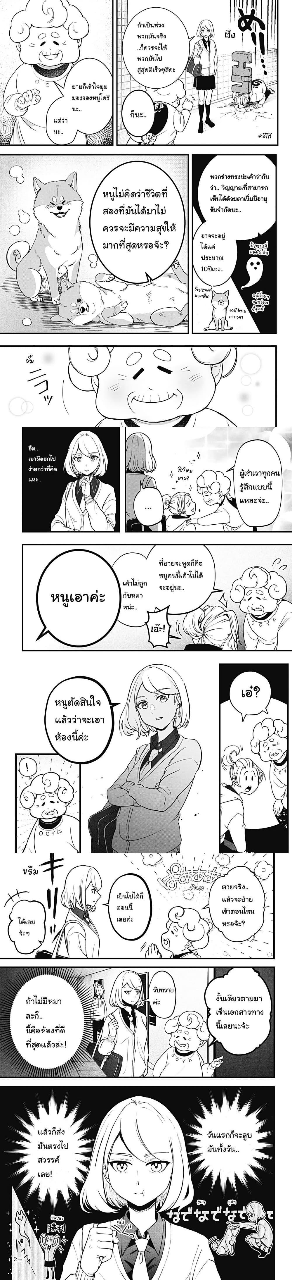 Shiba Inu Rooms Chap 1 - Next Chap 2