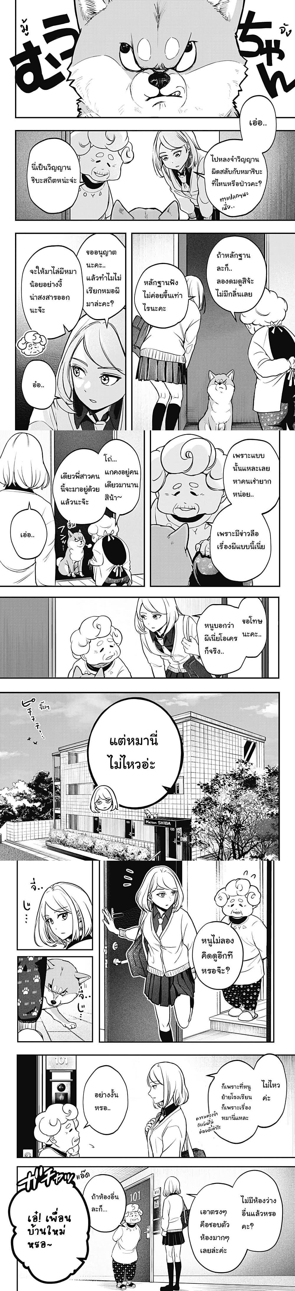 Shiba Inu Rooms Chap 1 - Next Chap 2