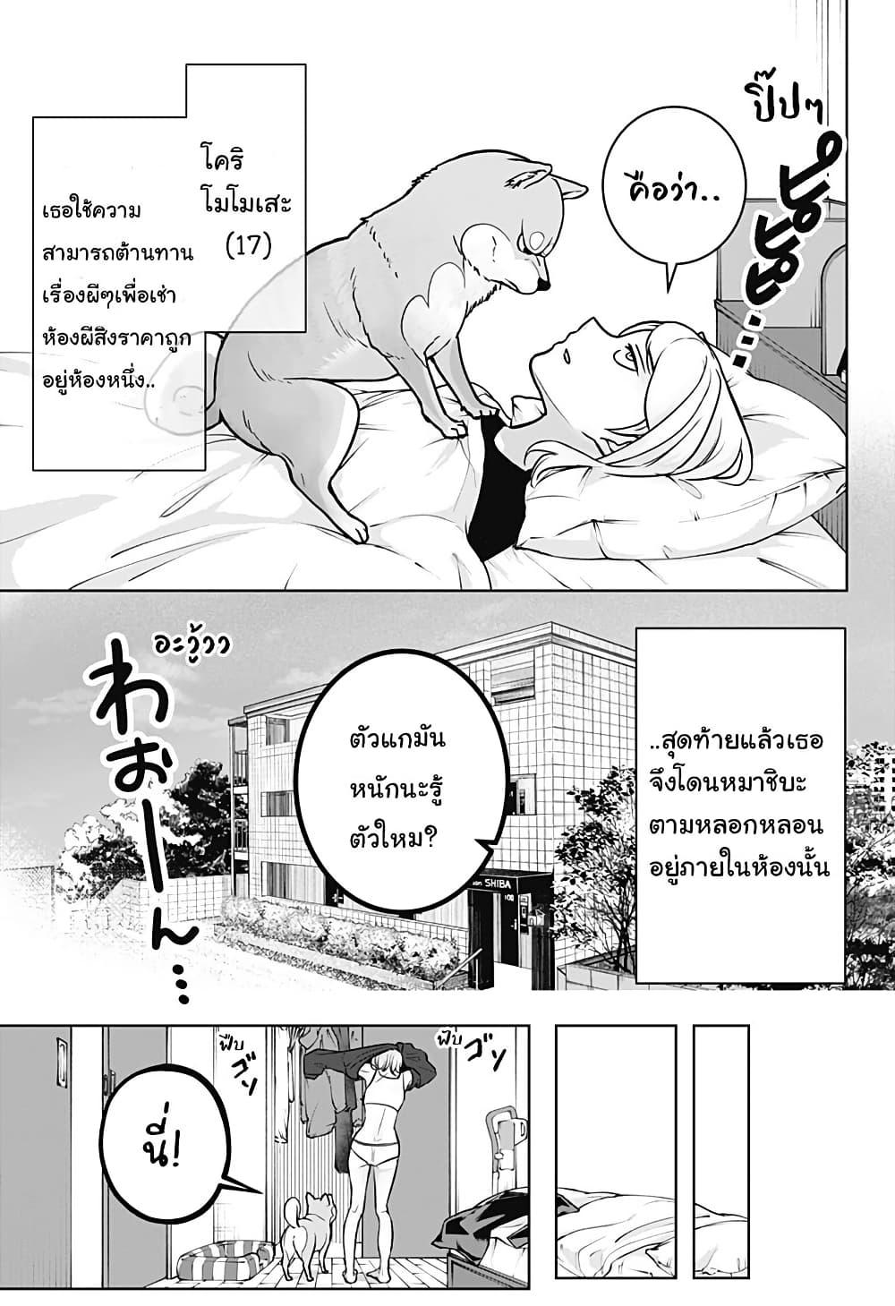Shiba Inu Rooms Chap 2 - Next Chap 3