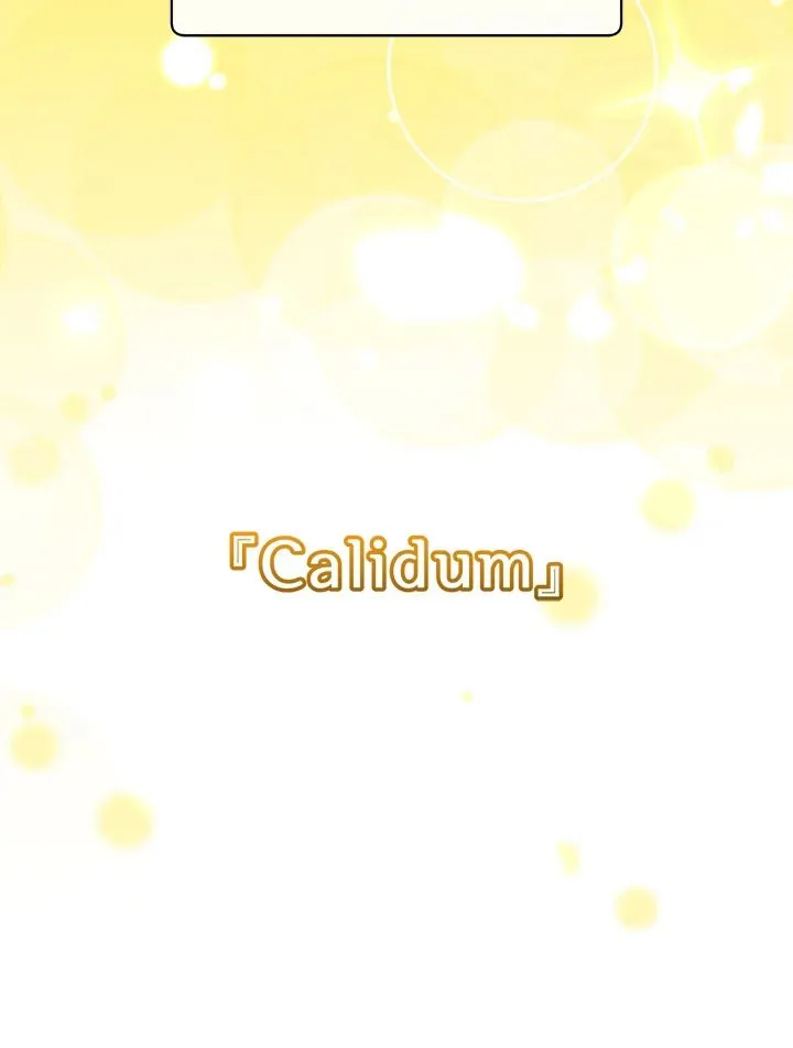 The Max Level Hero has Returned! Chap 201 - Next Chap 202