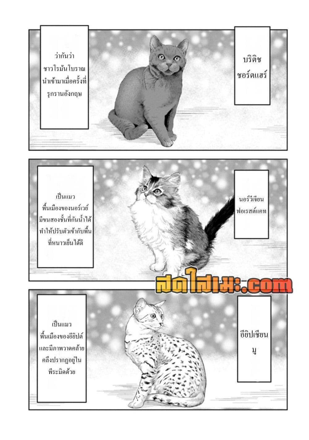 Sengoku Komachi Kuroutan: Noukou Giga Chap 89 - Next Chap 90