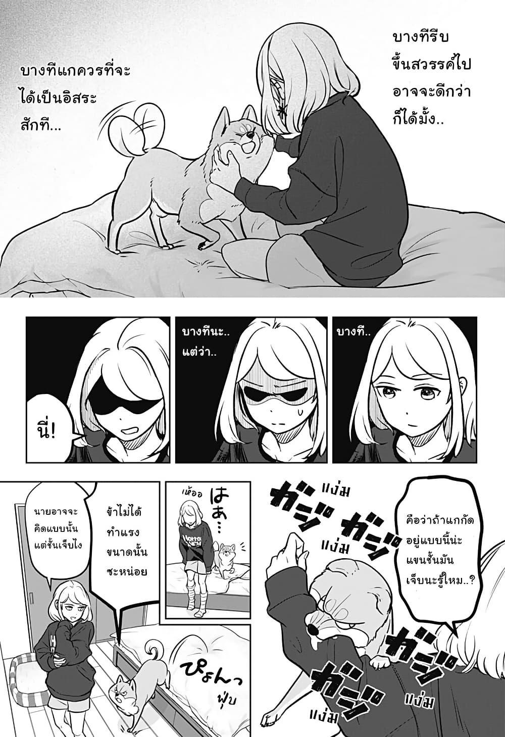 Shiba Inu Rooms Chap 2 - Next Chap 3