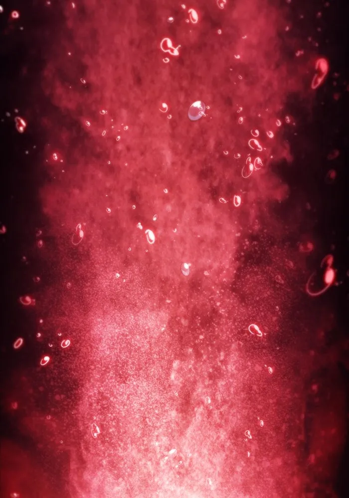 The Regressed Son of a Duke is an Assassin – ลูกชายคนเล็กของดยุกคือมือสังหาร Chap 50 - Next Chap 51