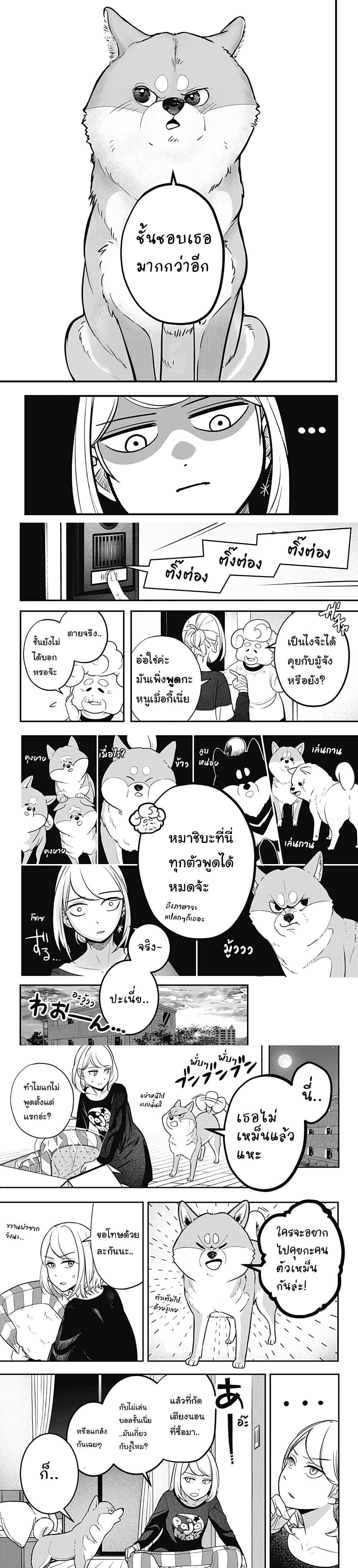 Shiba Inu Rooms Chap 1 - Next Chap 2