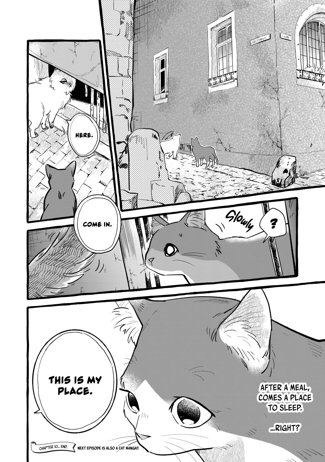 Einen Koyou wa Kanou deshou ka: Buaisou Mukuchi na Mahoutsukai to Hajimeru Saishuushoku Life Chap 10 - Next Chap 11