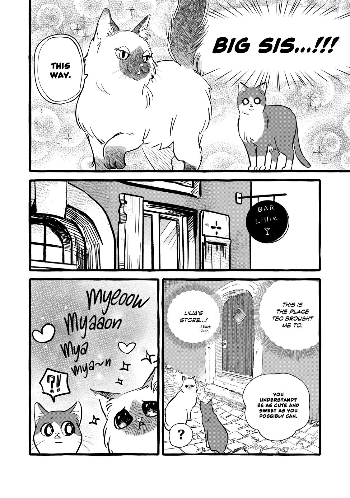 Einen Koyou wa Kanou deshou ka: Buaisou Mukuchi na Mahoutsukai to Hajimeru Saishuushoku Life Chap 10 - Next Chap 11
