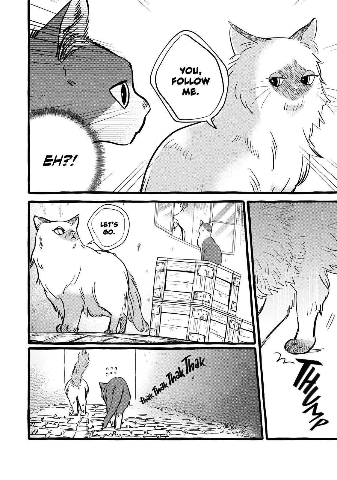 Einen Koyou wa Kanou deshou ka: Buaisou Mukuchi na Mahoutsukai to Hajimeru Saishuushoku Life Chap 10 - Next Chap 11
