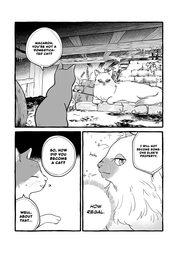 Einen Koyou wa Kanou deshou ka: Buaisou Mukuchi na Mahoutsukai to Hajimeru Saishuushoku Life Chap 11 - Next Chap 12