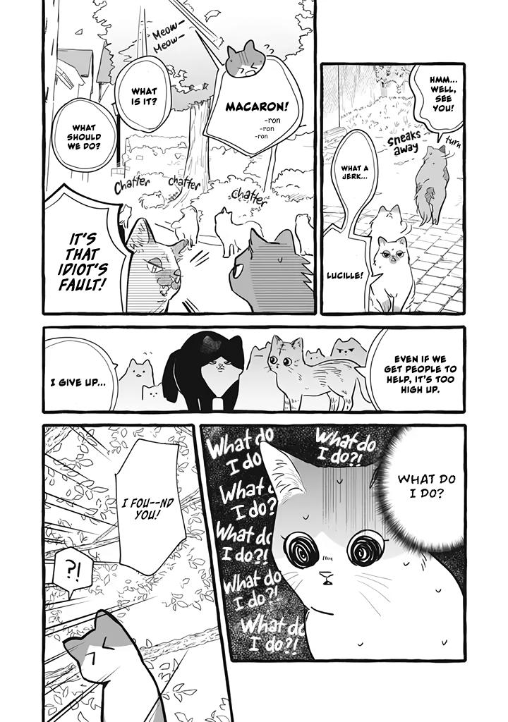 Einen Koyou wa Kanou deshou ka: Buaisou Mukuchi na Mahoutsukai to Hajimeru Saishuushoku Life Chap 11 - Next Chap 12