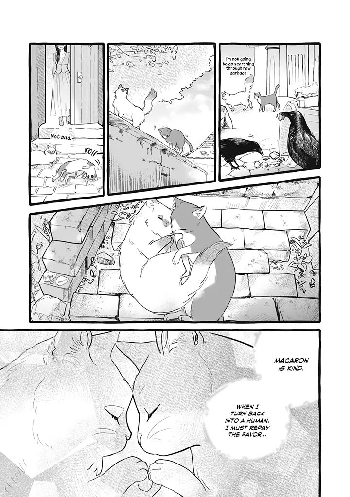Einen Koyou wa Kanou deshou ka: Buaisou Mukuchi na Mahoutsukai to Hajimeru Saishuushoku Life Chap 11 - Next Chap 12