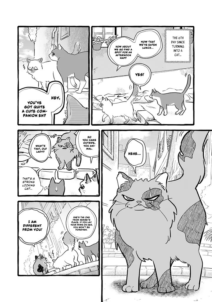 Einen Koyou wa Kanou deshou ka: Buaisou Mukuchi na Mahoutsukai to Hajimeru Saishuushoku Life Chap 11 - Next Chap 12