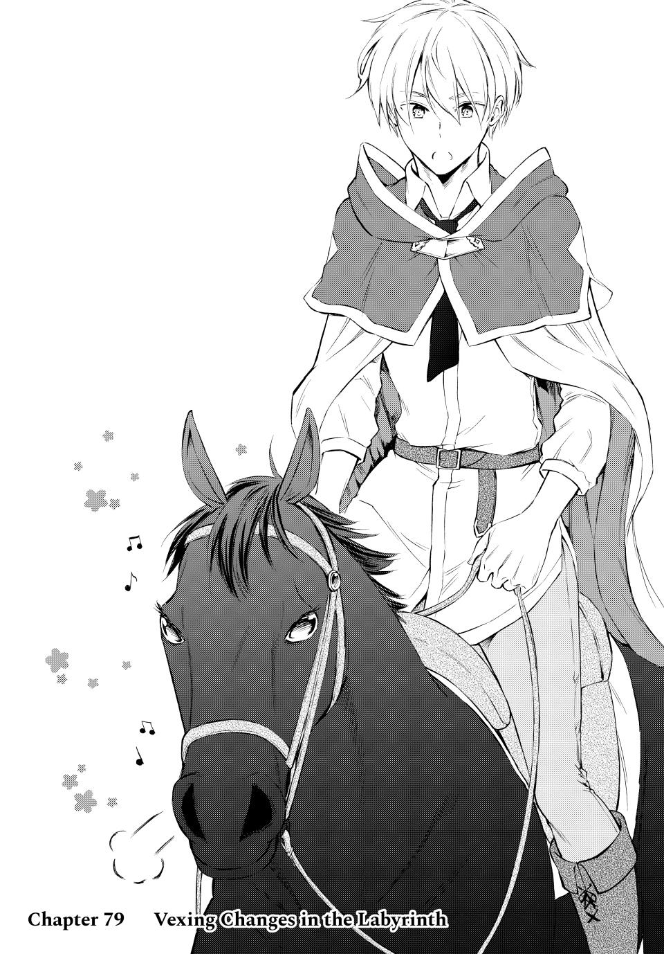 Seija Musou: Salaryman, Isekai de Ikinokoru Tame ni Ayumu Michi Chap 79 - Next Chap 80