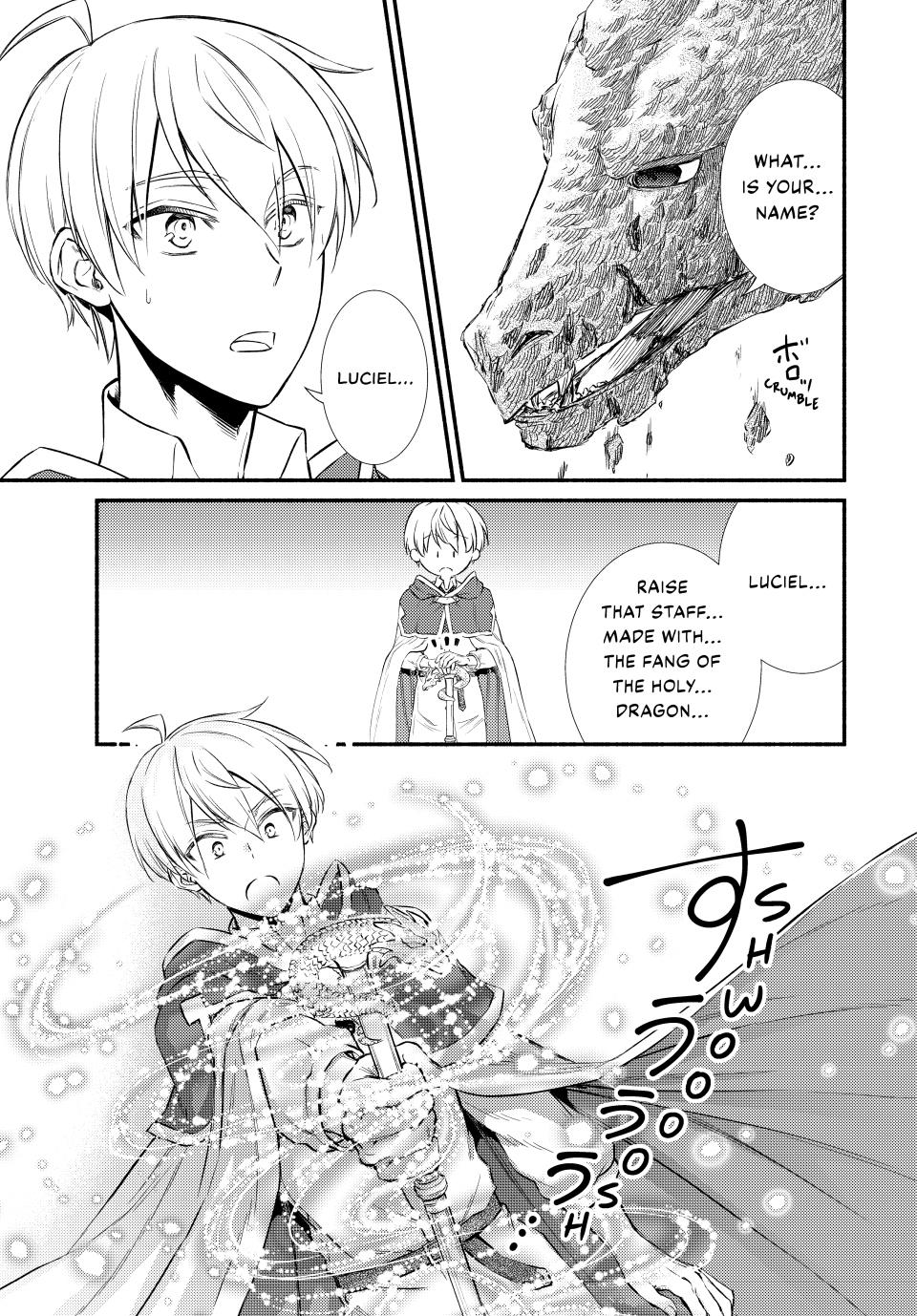 Seija Musou: Salaryman, Isekai de Ikinokoru Tame ni Ayumu Michi Chap 92 - Next Chap 93