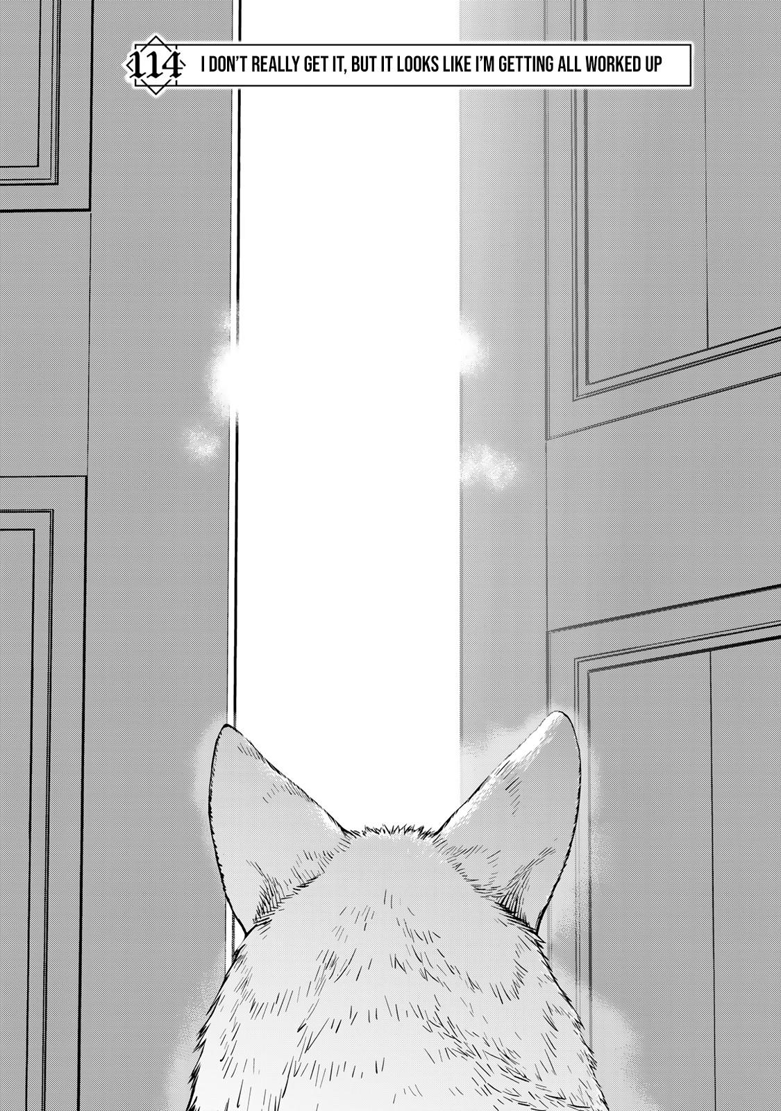 Yoku Wakaranai keredo Isekai ni Tensei shiteita you desu Chap 114 - Next Chap 115