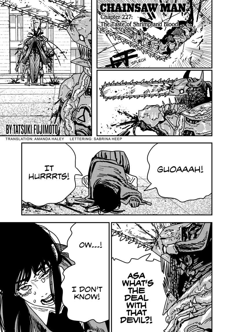 Chainsaw Man Chap 227 - Next Chap 228