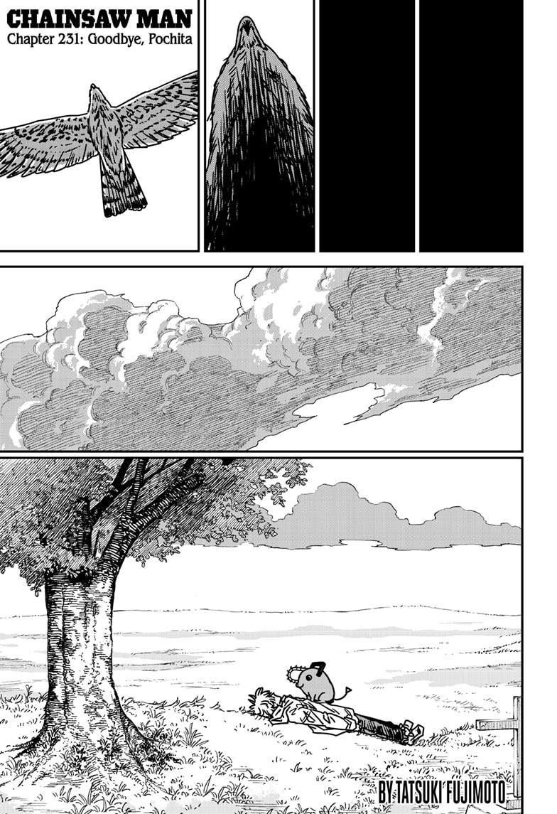 Chainsaw Man Chap 231 - Next Chap 232