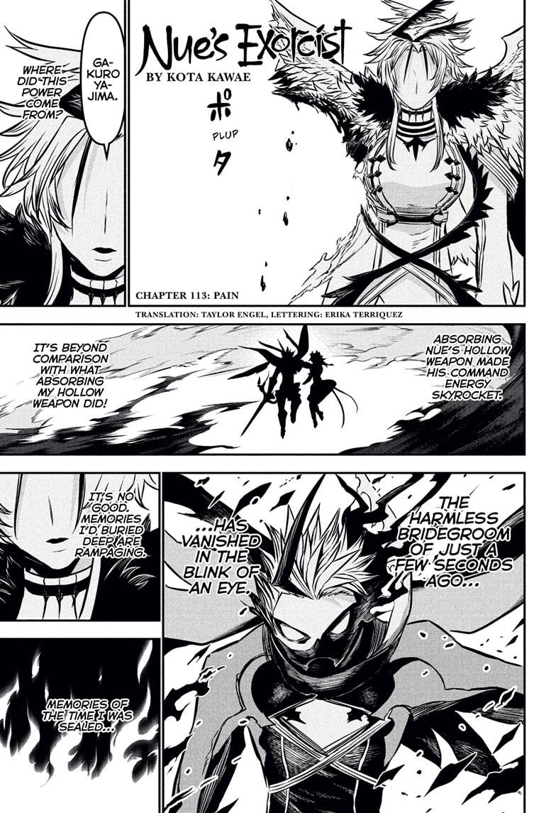 Nue's Exorcist Chap 113 - Next Chap 114