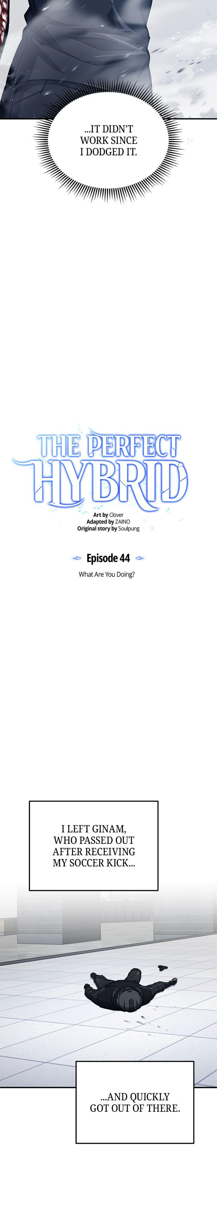 The Perfect Hybrid Chap 44 - Next Chap 45