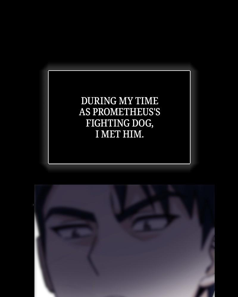 The Perfect Hybrid Chap 79 - Next Chap 80