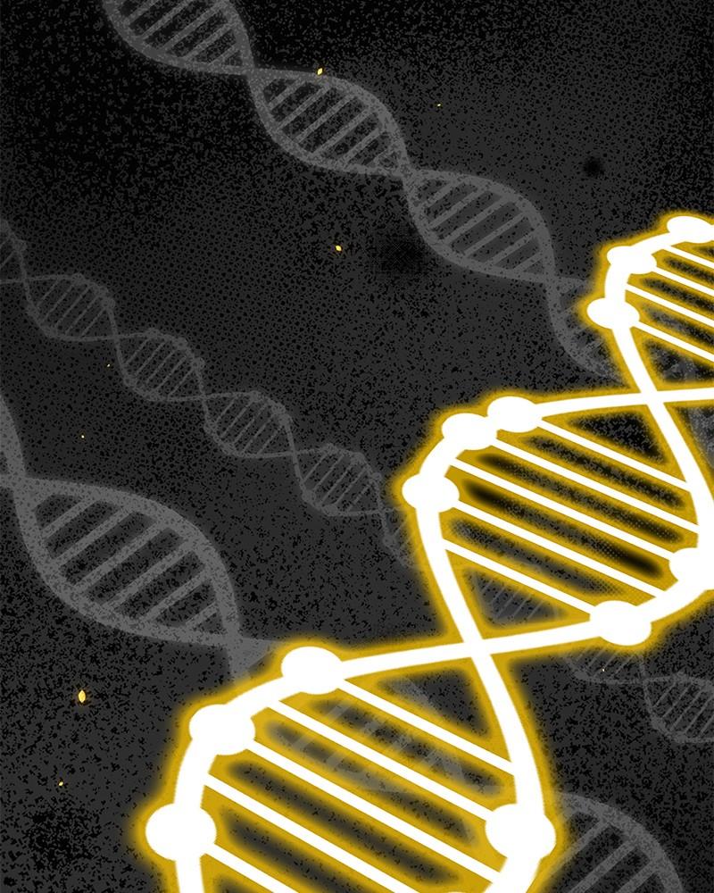 The Perfect Hybrid Chap 98 - Next Chap 99