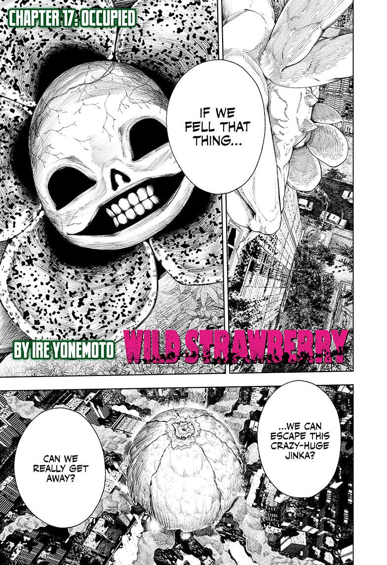 Wild Strawberry Chap 17 - Next Chap 18